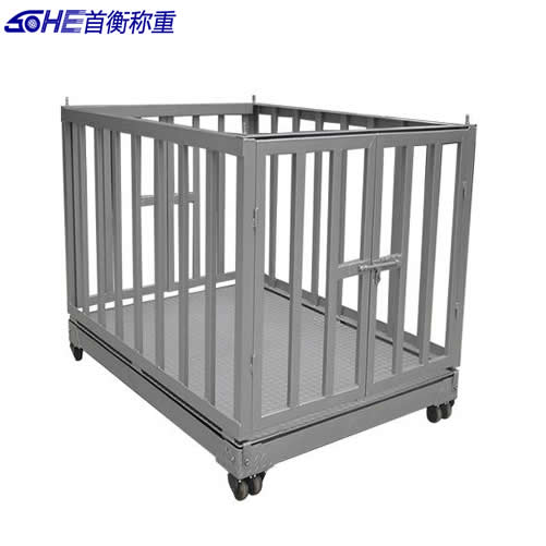 ������ӡ�_(t��i)��