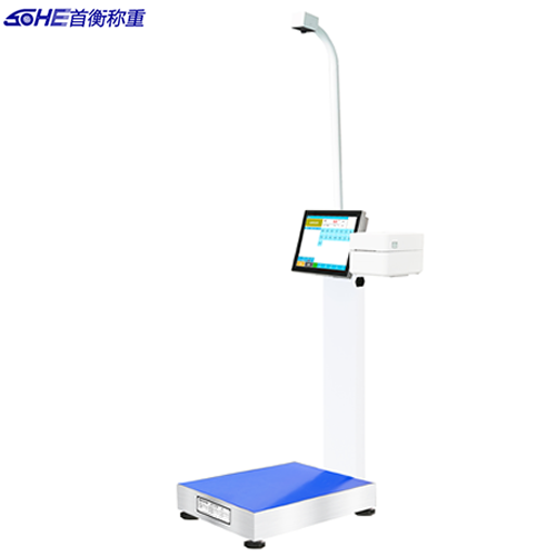 ������ӡ�_(t��i)��