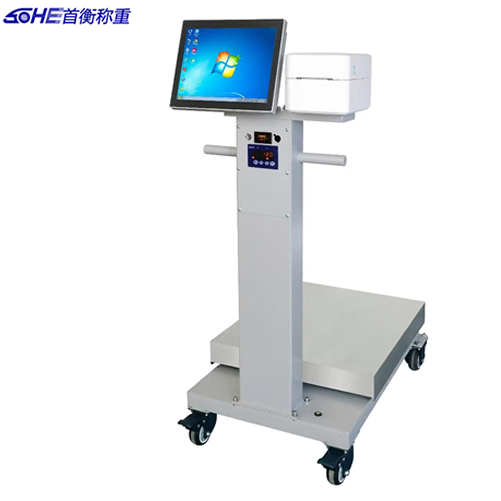 ������ӡ�_(t��i)��