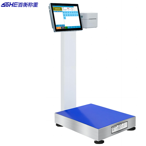 ������ӡ�_(t��i)��