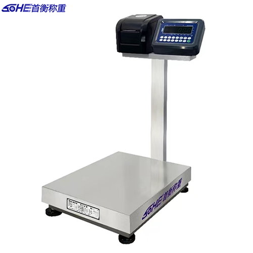 ������ӡ�_(t��i)��